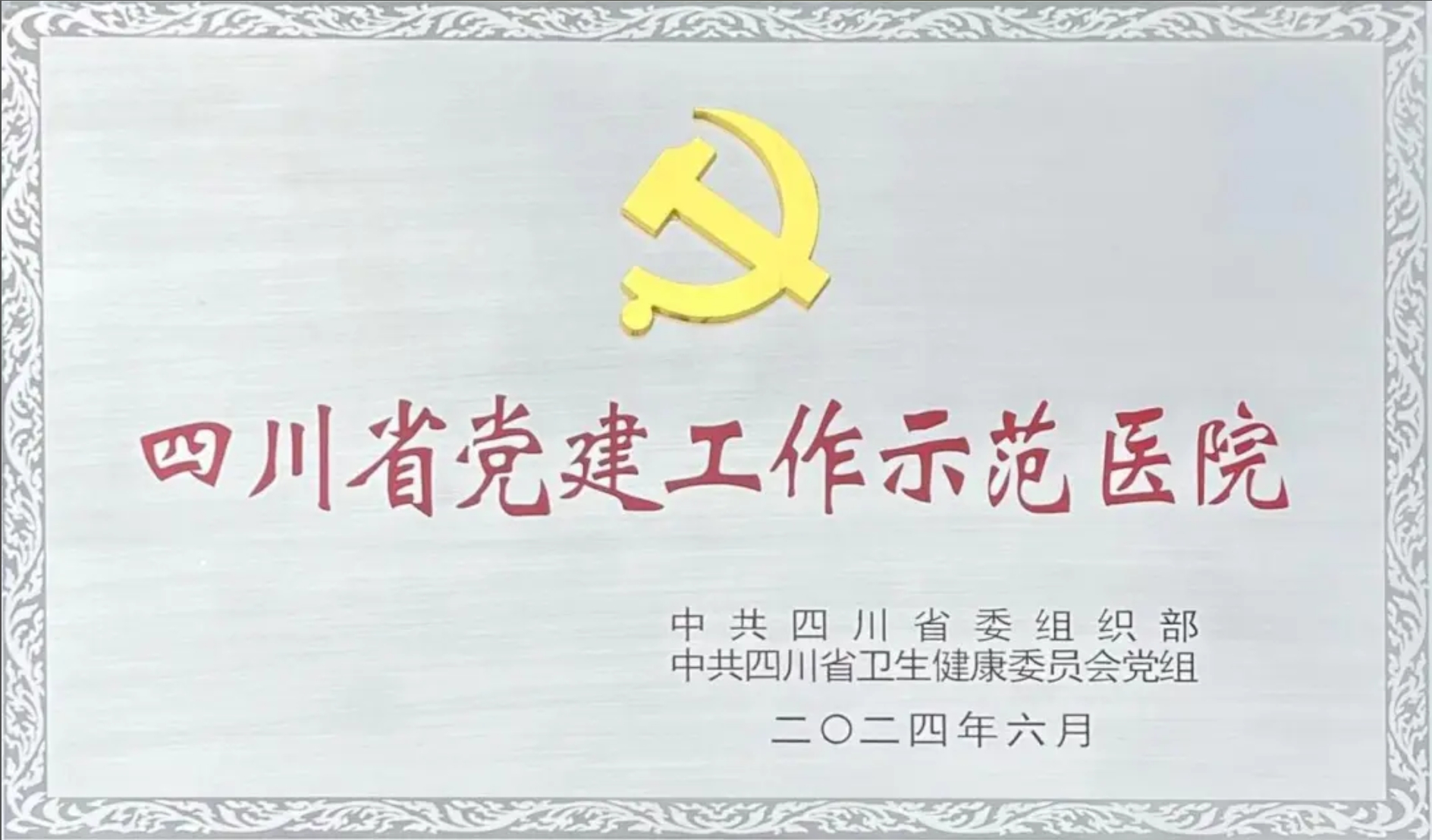 四川省公立医院党建工作示范医院.png